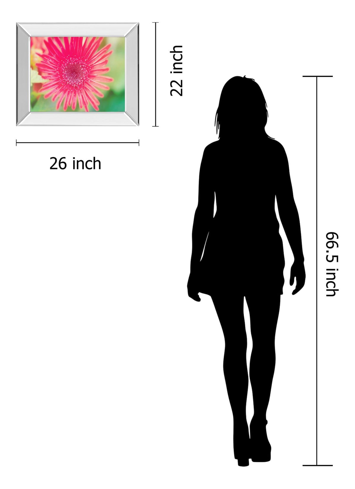 Mirrored Frame Pink Gerbera By Susan Bryant 22X26 Mirror Frame Print