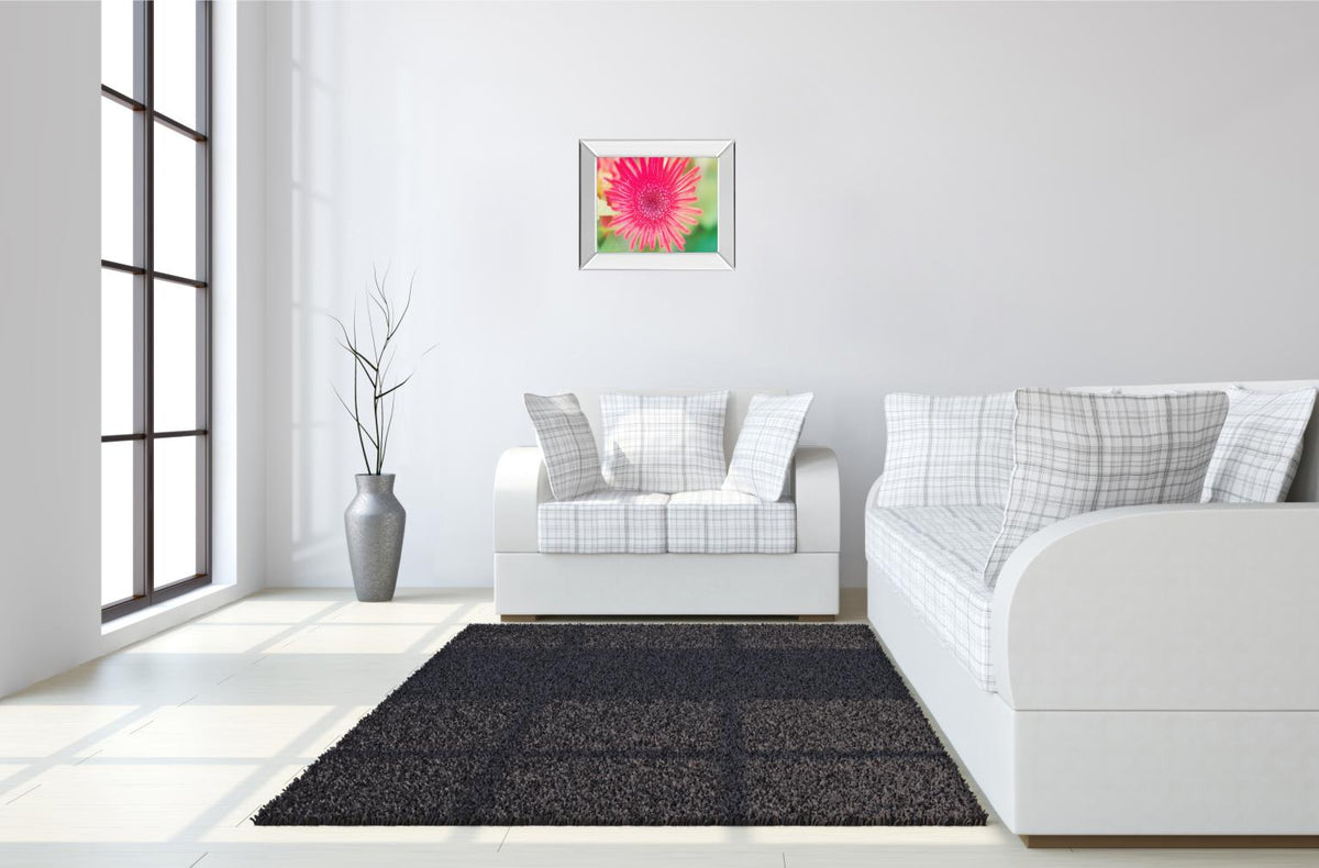Mirrored Frame Pink Gerbera By Susan Bryant 22X26 Mirror Frame Print