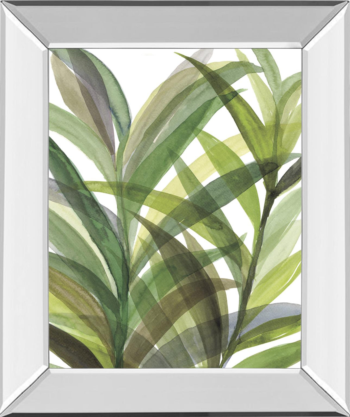 Mirrored Frame TropicalÂ  Greens Ii By Rebecca Meyers 22X26 Mirror Frame Print