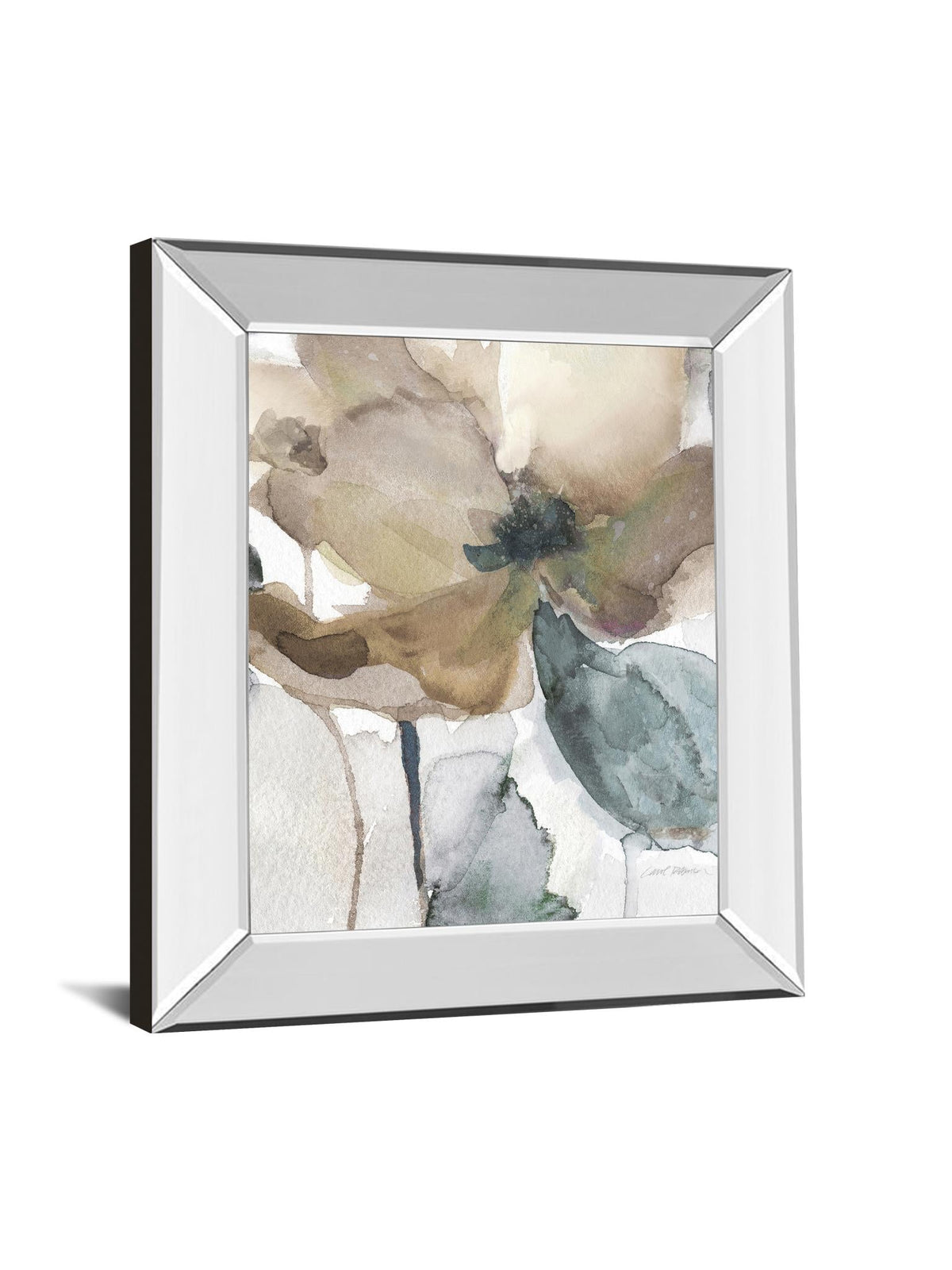 Mirrored Frame Watercolor Poppy I By Carol Robinson 22X26 Mirror Frame Print
