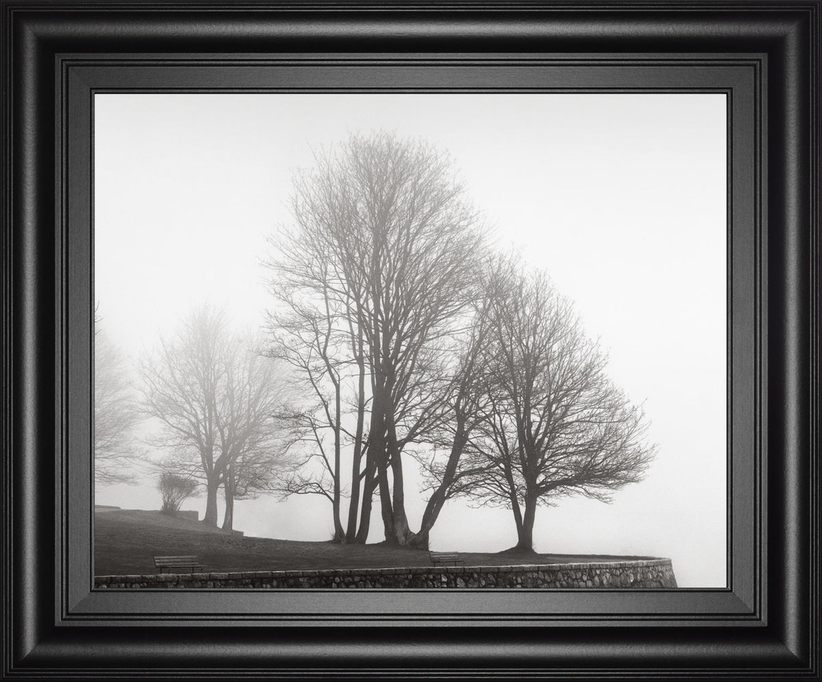 Fog And Trees At Dusk By Lsh 22X26 Framed Print