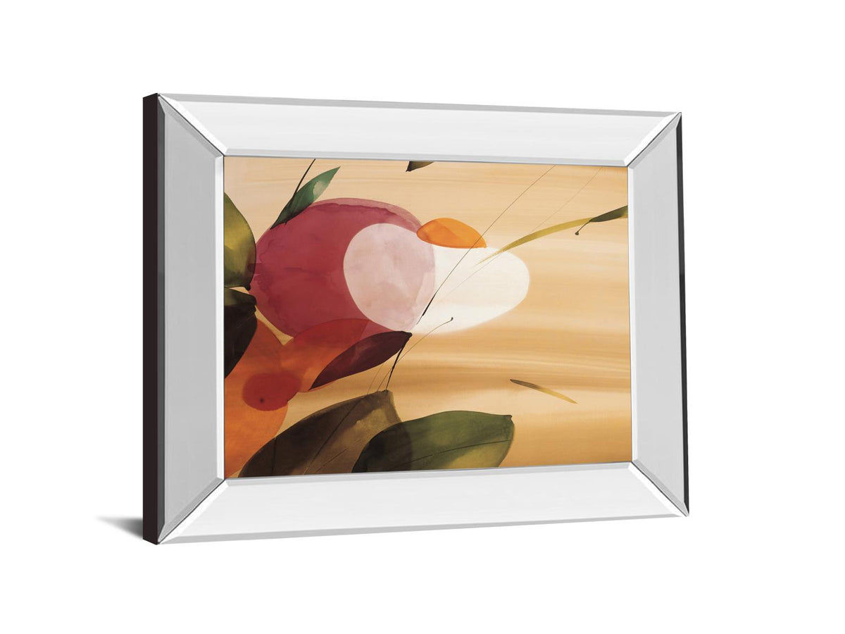 Mirrored Frame Floral Inspiration I  By Abellan 22X26 Mirror Frame Print