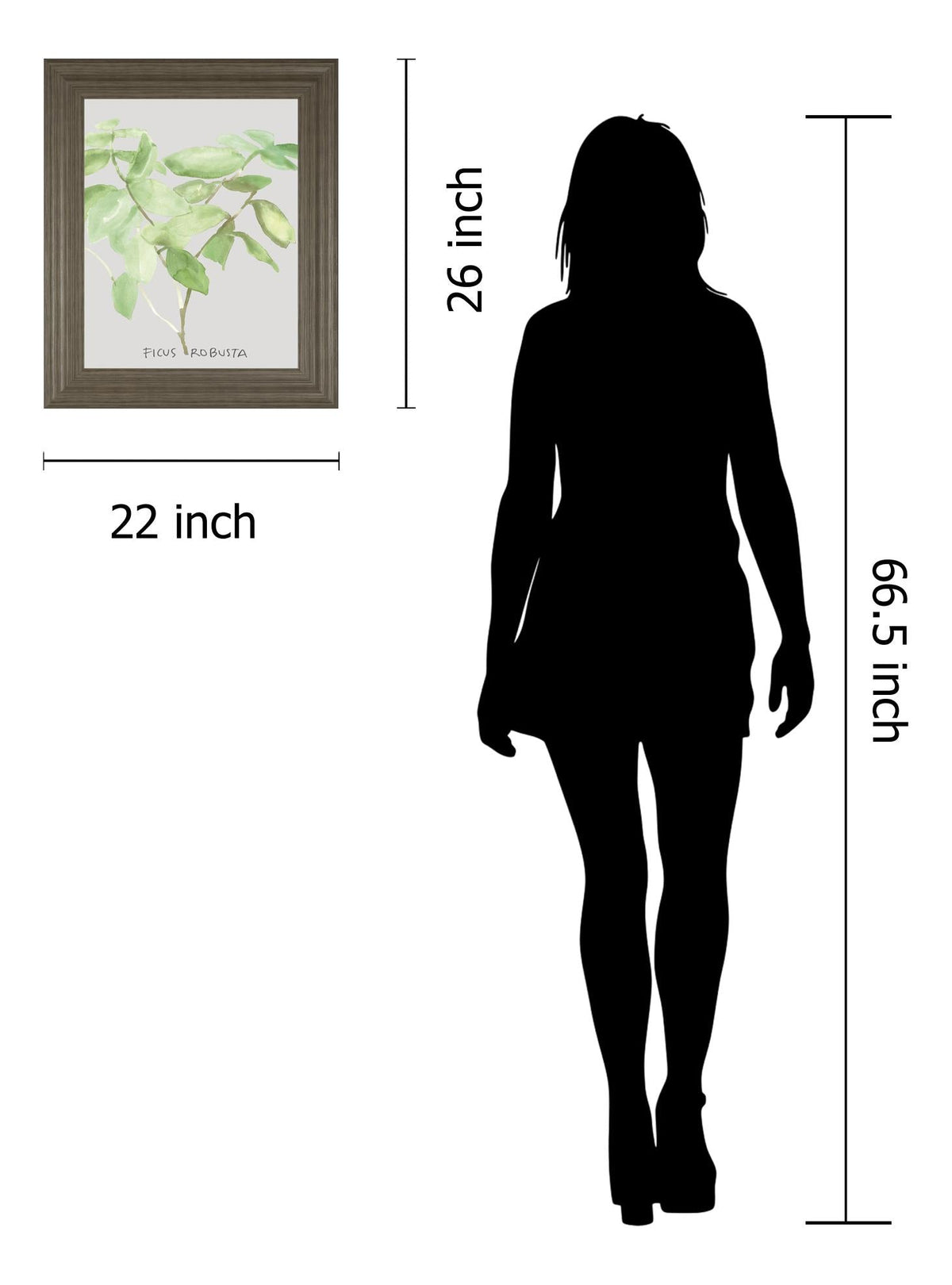 Ficus Robusta By Katrien Soeffers 22X26 Framed Print