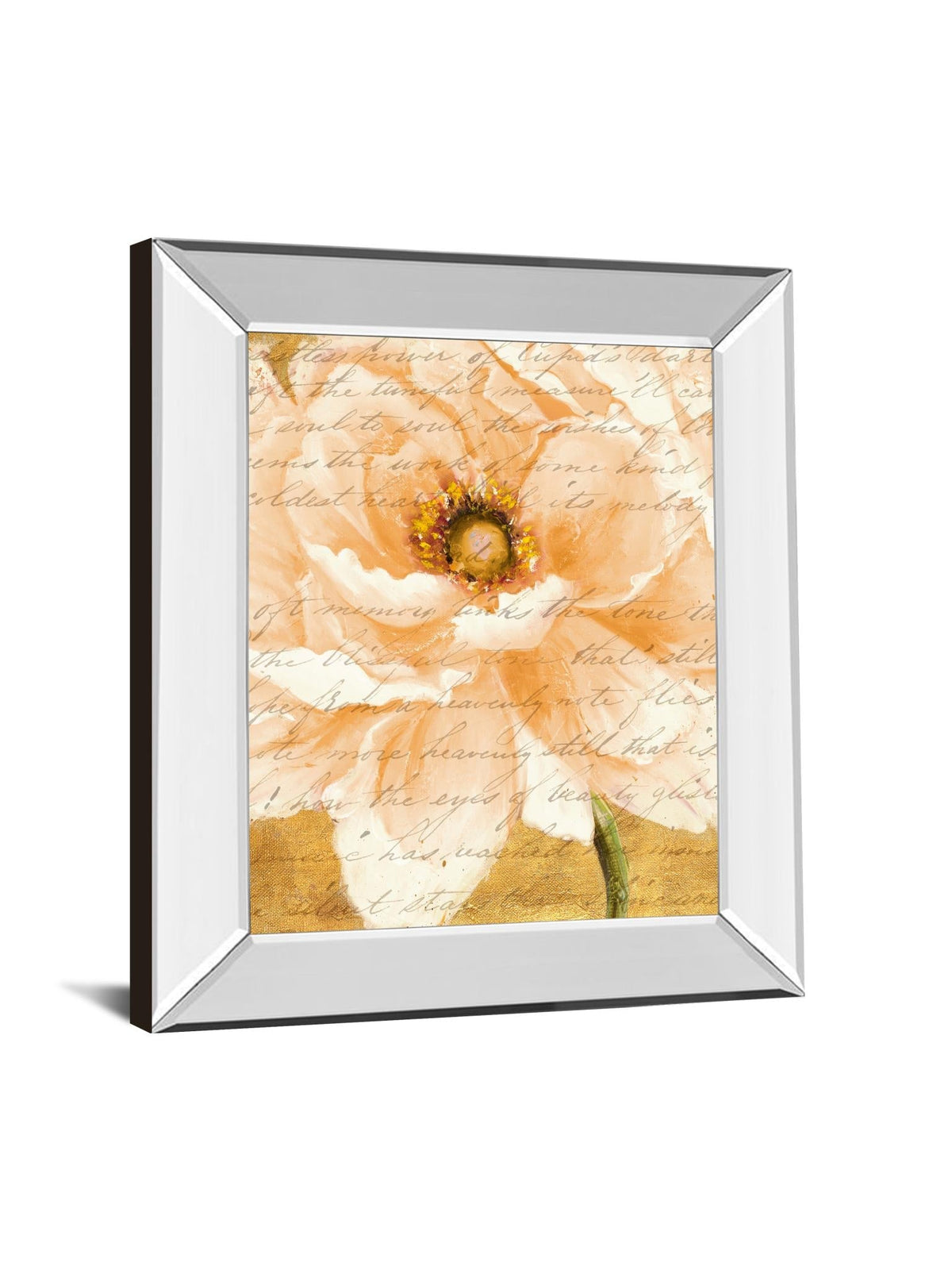 Mirrored Frame Beautiful Cream Peonies Script I By Patricia Pinto 22X26 Mirror Frame Print