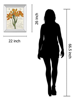 Mirrored Frame Eurphoria Botany By Sue Schlabach 22X26 Mirror Frame Print