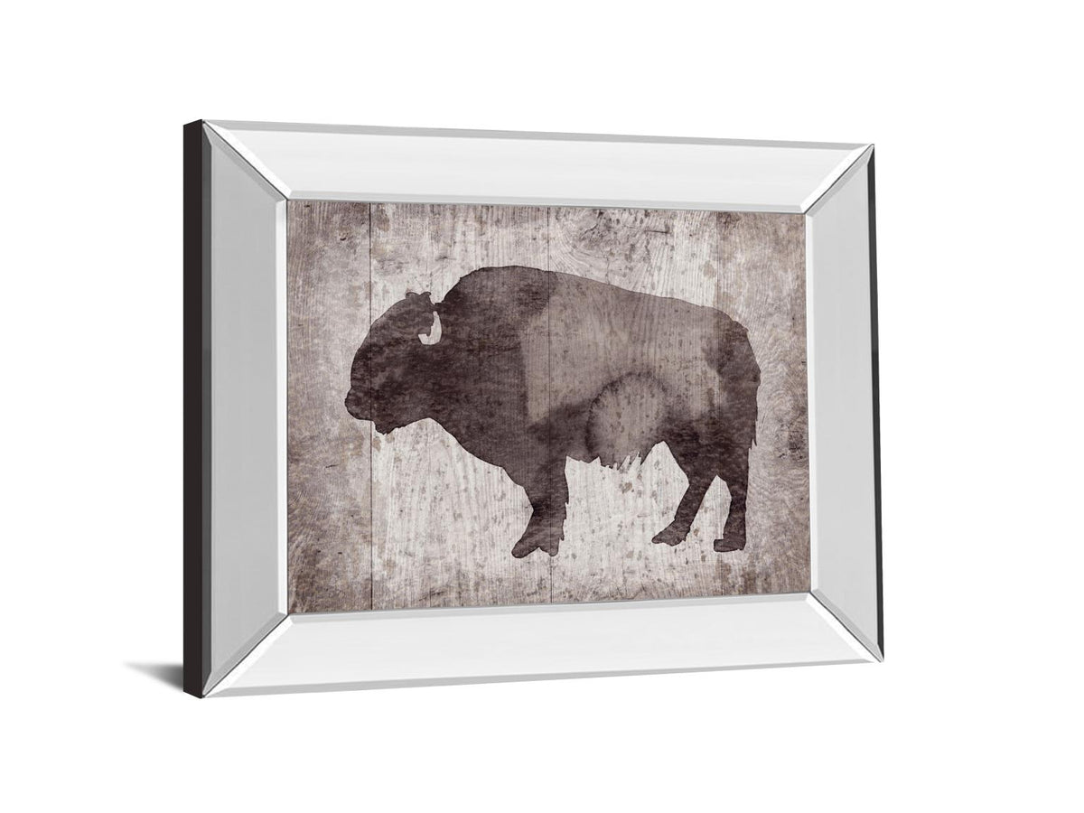 Mirrored Frame Wildness Ii-Timber By Sandra Jacobs 22X26 Mirror Frame Print