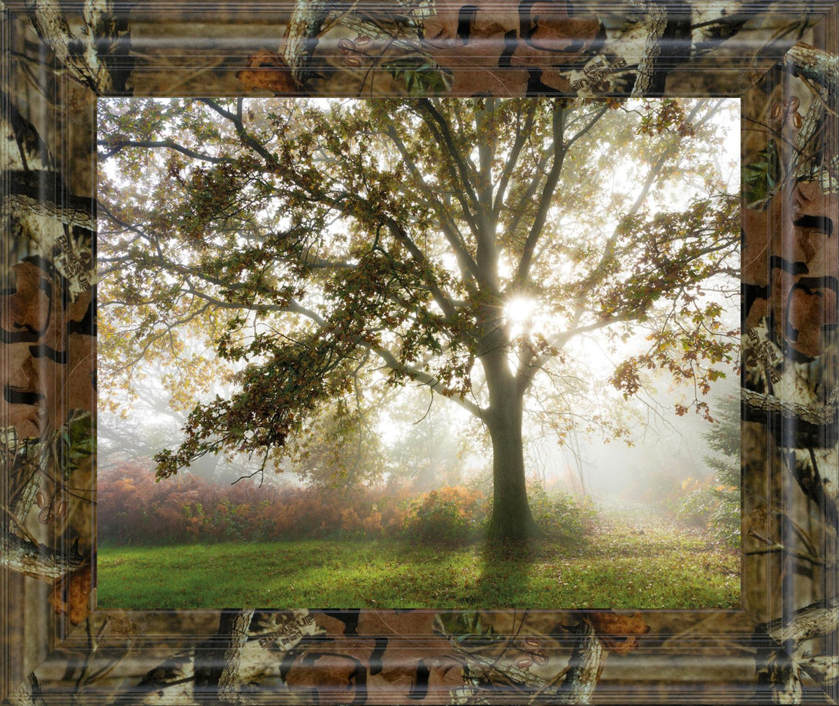 Morning Calm By Lee Frost ***Monl*** 22X26 Framed Print