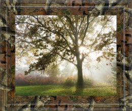 Morning Calm By Lee Frost ***Monl*** 22X26 Framed Print