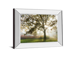 Mirrored Frame Morning Calm By Lee Frost 22X26 Mirror Frame Print