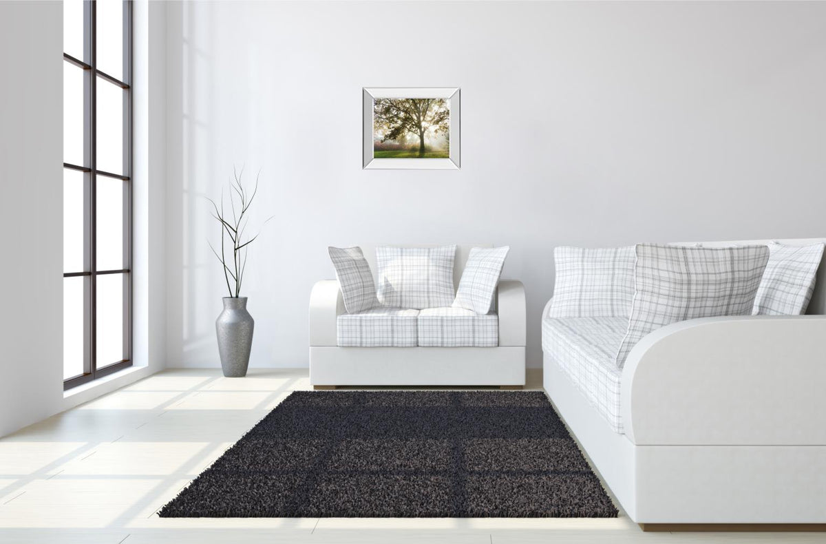 Mirrored Frame Morning Calm By Lee Frost 22X26 Mirror Frame Print