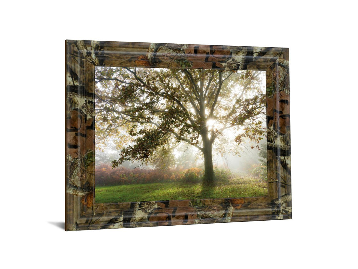 Morning Calm By Lee Frost ***Monl*** 22X26 Framed Print