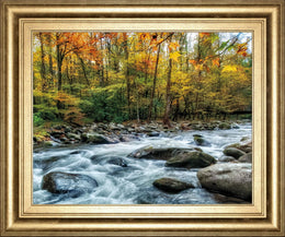 Painted Autumn By D. Burt 22X26 Framed Print