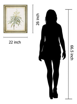 Dracaena Reflexa By Pierre Joseph Redoute 22X26 Framed Print