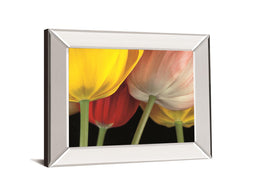 Sunshine Tulips By Frank, A. 22X26 Mirror Frame Print