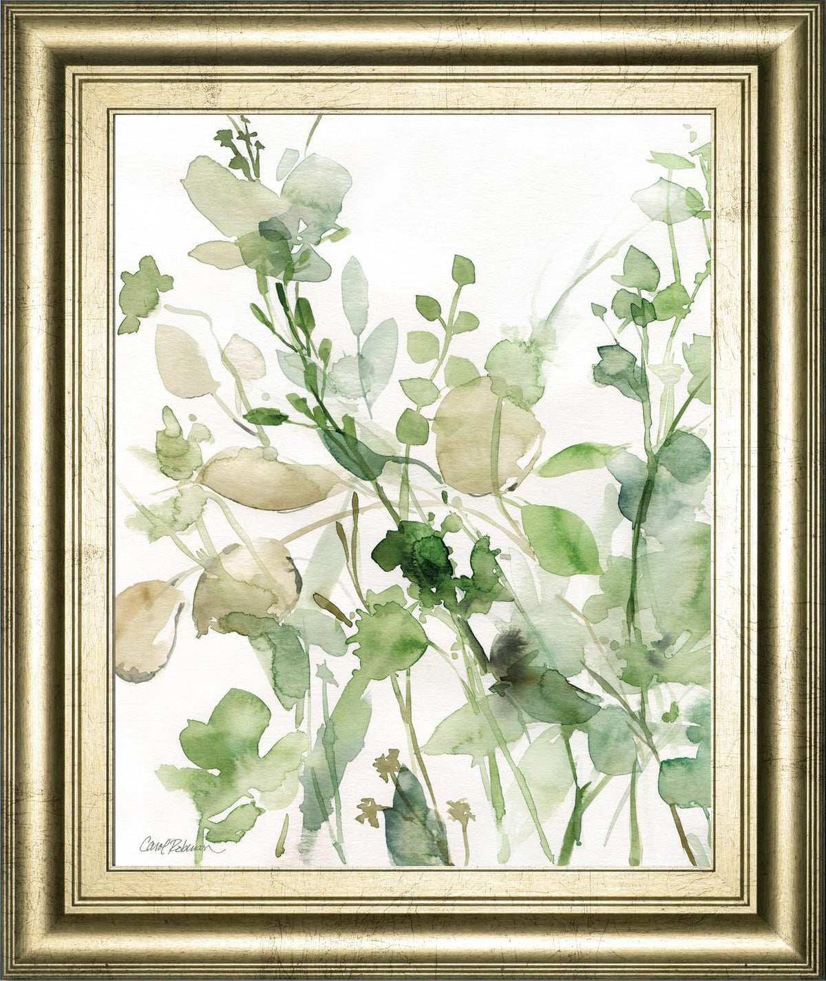 Sage Garden Ii By Carol Robinson 22X26 Framed Print
