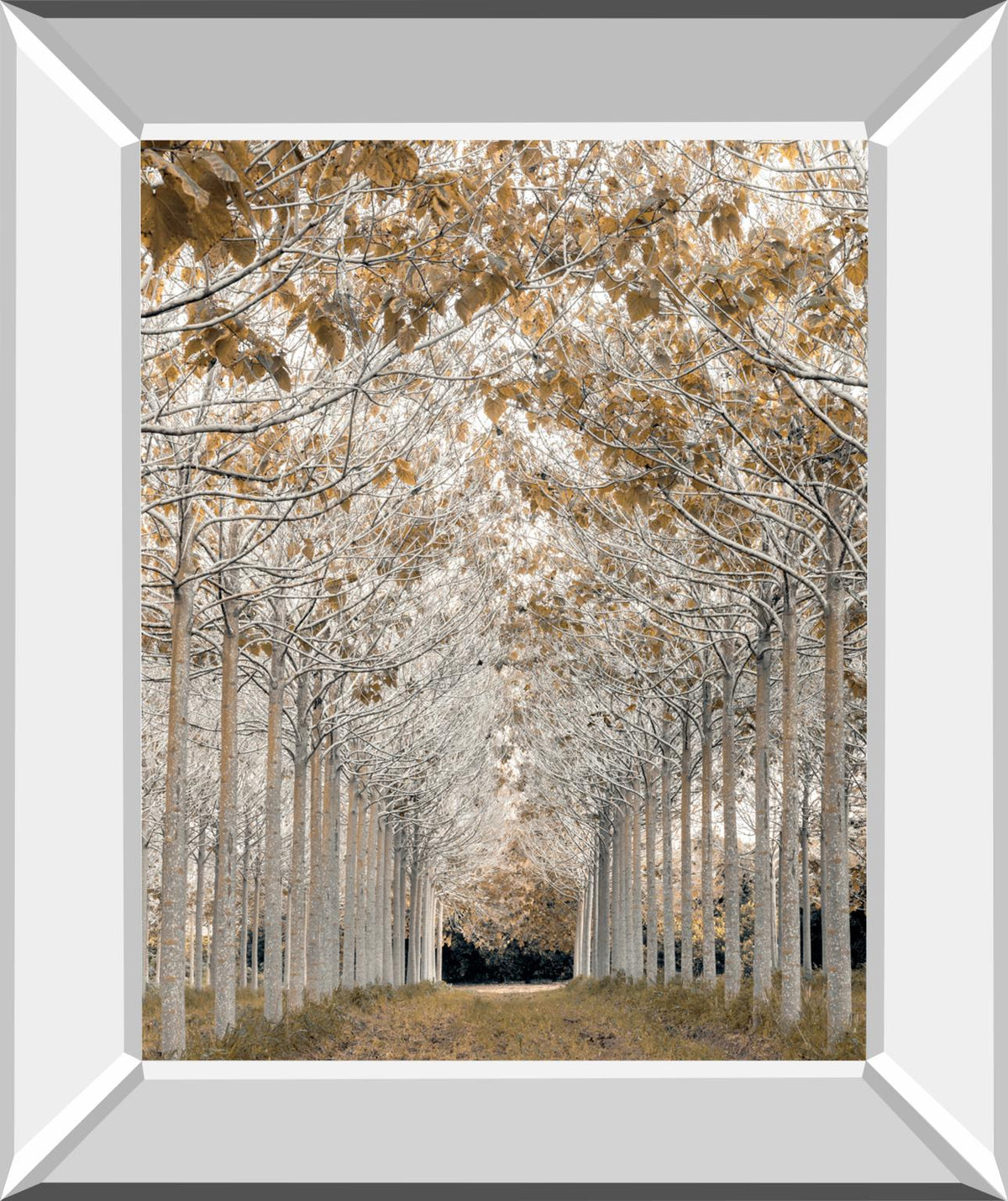 White Gold By Assaf Frank 22X26 Mirror Frame Print