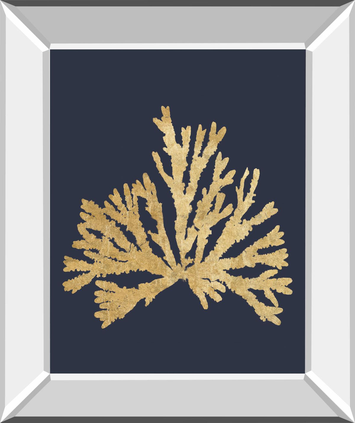 Pacific Sea Mosses Iv Indigo By Wild Apple Portfolio 22X26 Mirror Frame Print