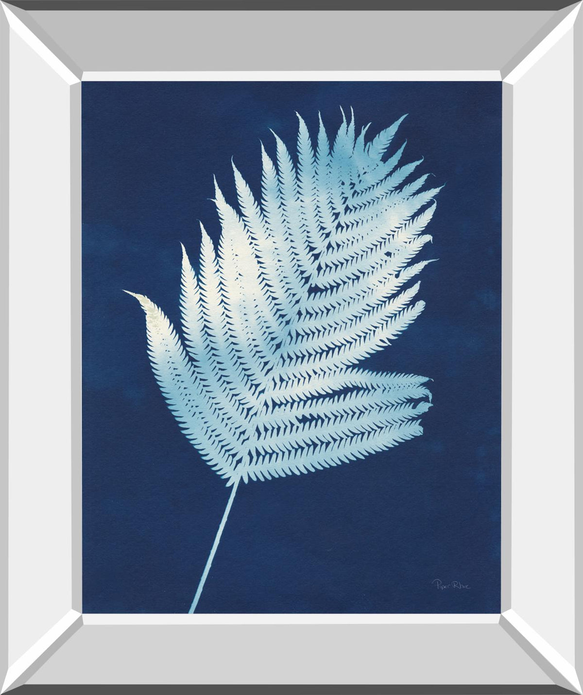 Nature By The Lake Ferns Iii By Piper Rhue 22X26 Mirror Frame Print