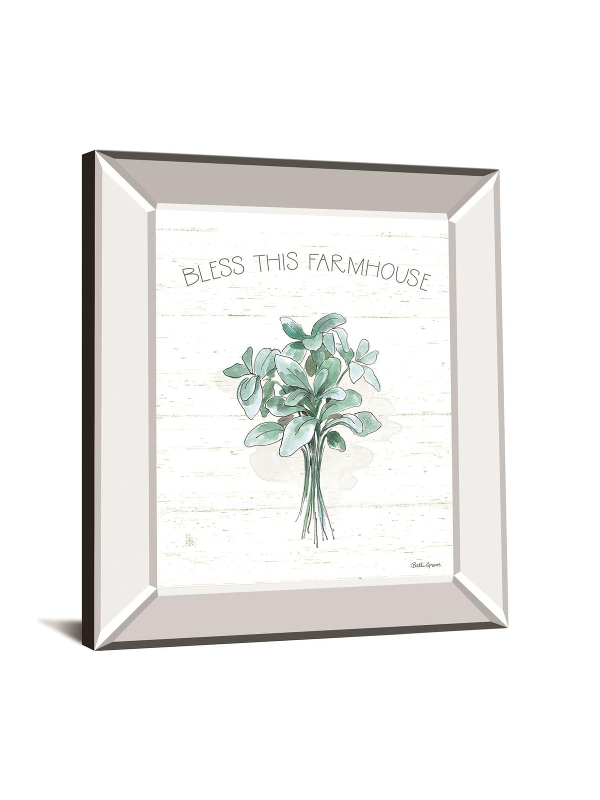 Farmhouse Cotton Vi By Beth Grove 22X26 Mirror Frame Print