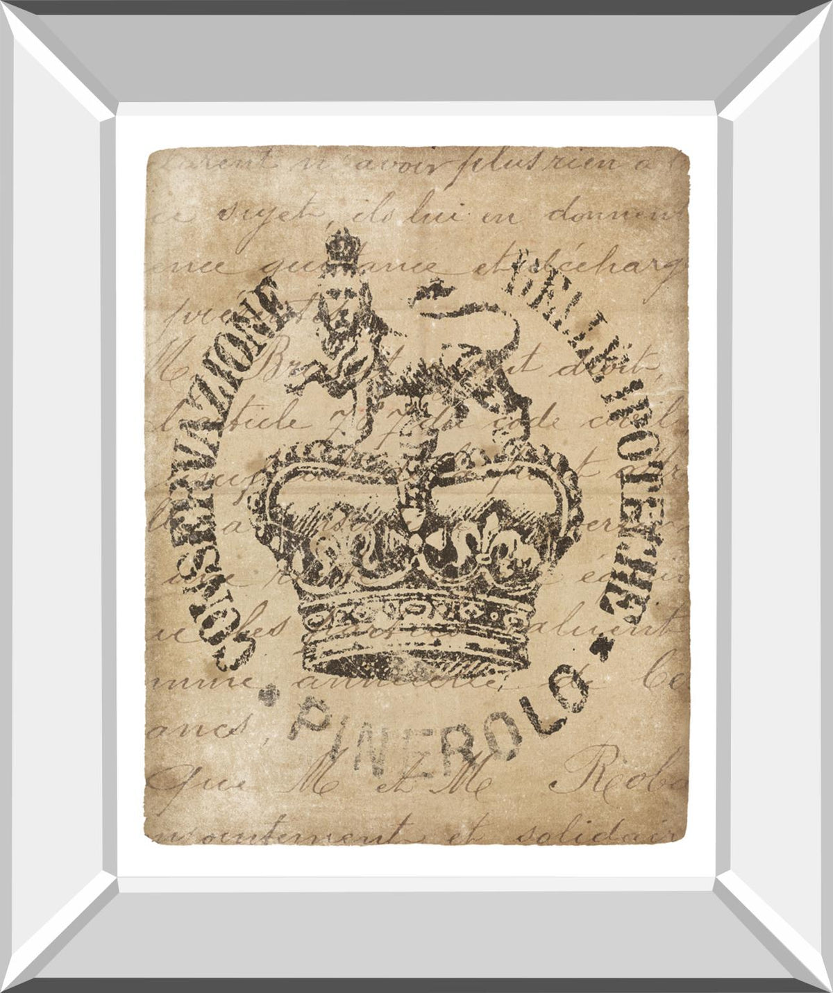 Vintage Seal Iv V2 By Wild Apple Portfolio 22X26 Mirror Frame Print