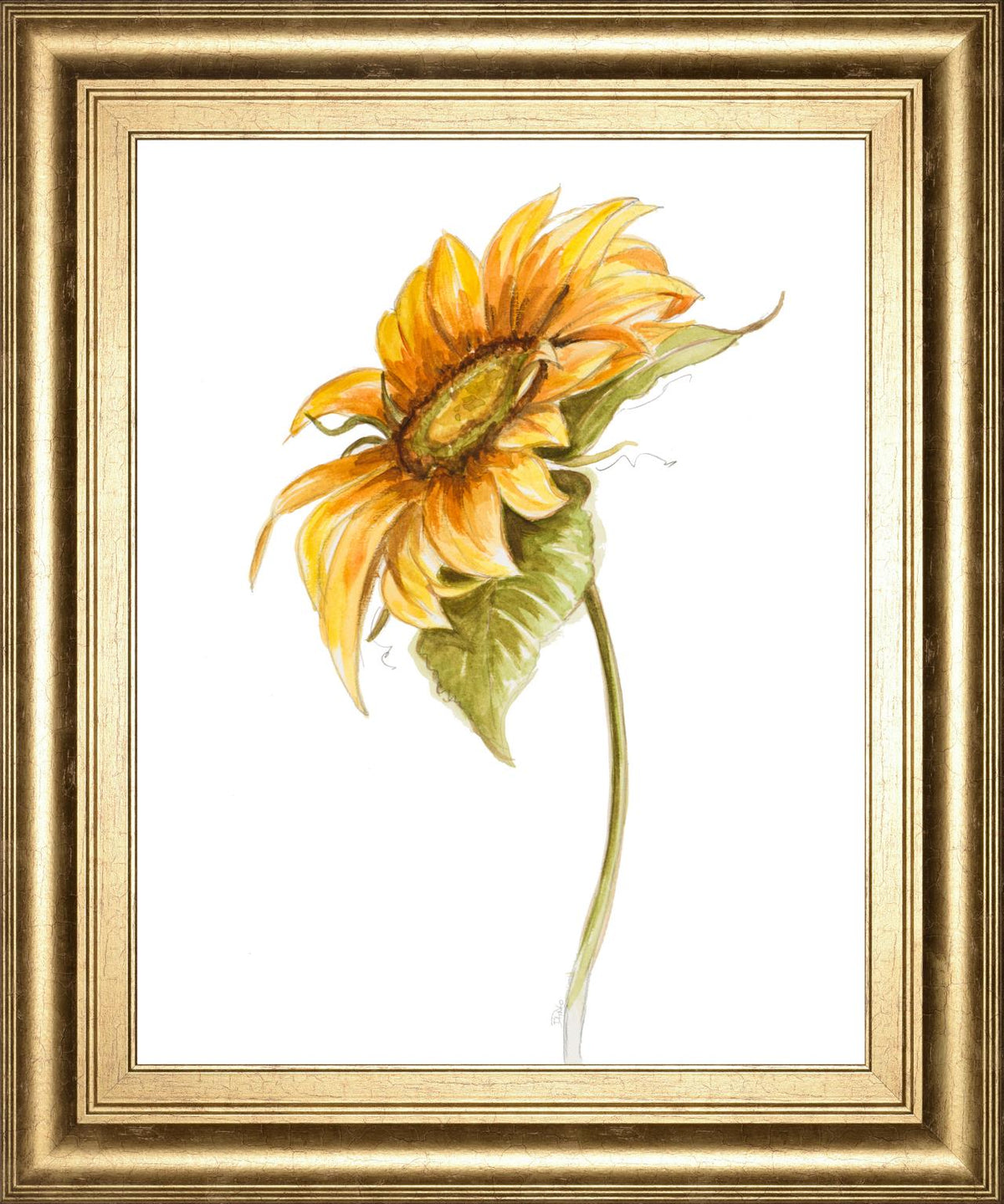 Harvest Gold Sunflower I By Patriciapinto 22X26 Framed Print