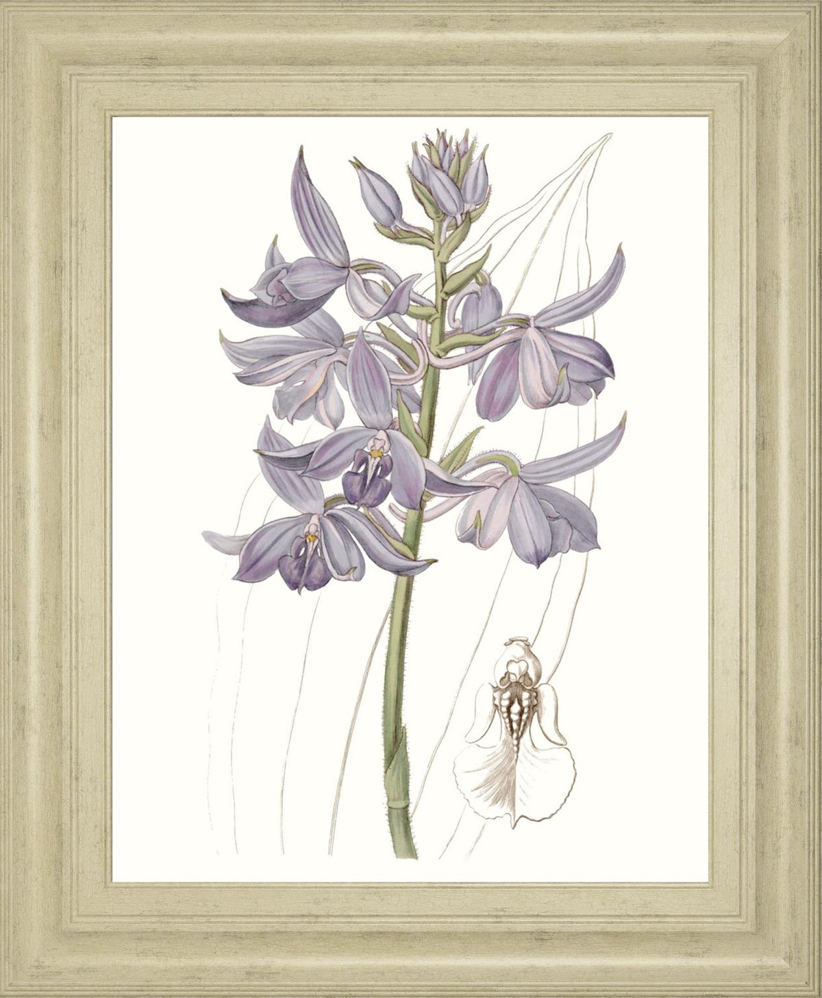 Lavender Beauties Iii By Edwards 22X26 Framed Print