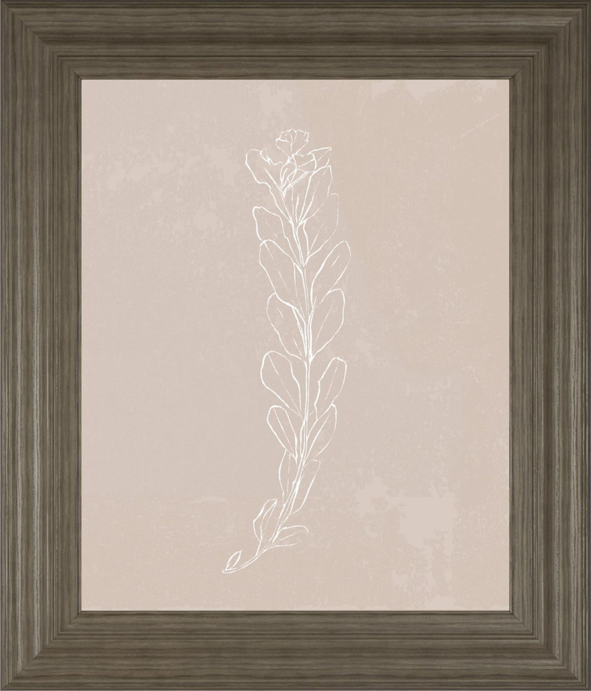 Blush Bloom Ii By Annie Warren 22X26 Framed Print