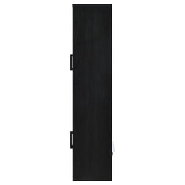 Riva 4-door Tall Accent Display Cabinet LED Lighting Black