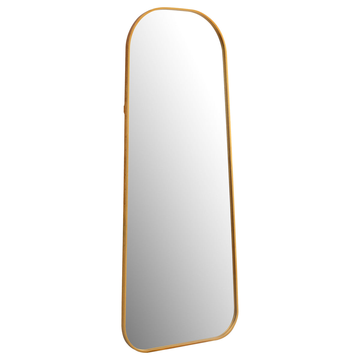 Simeon 20 x 52 Inch Full Length Floor Mirror Antique Gold