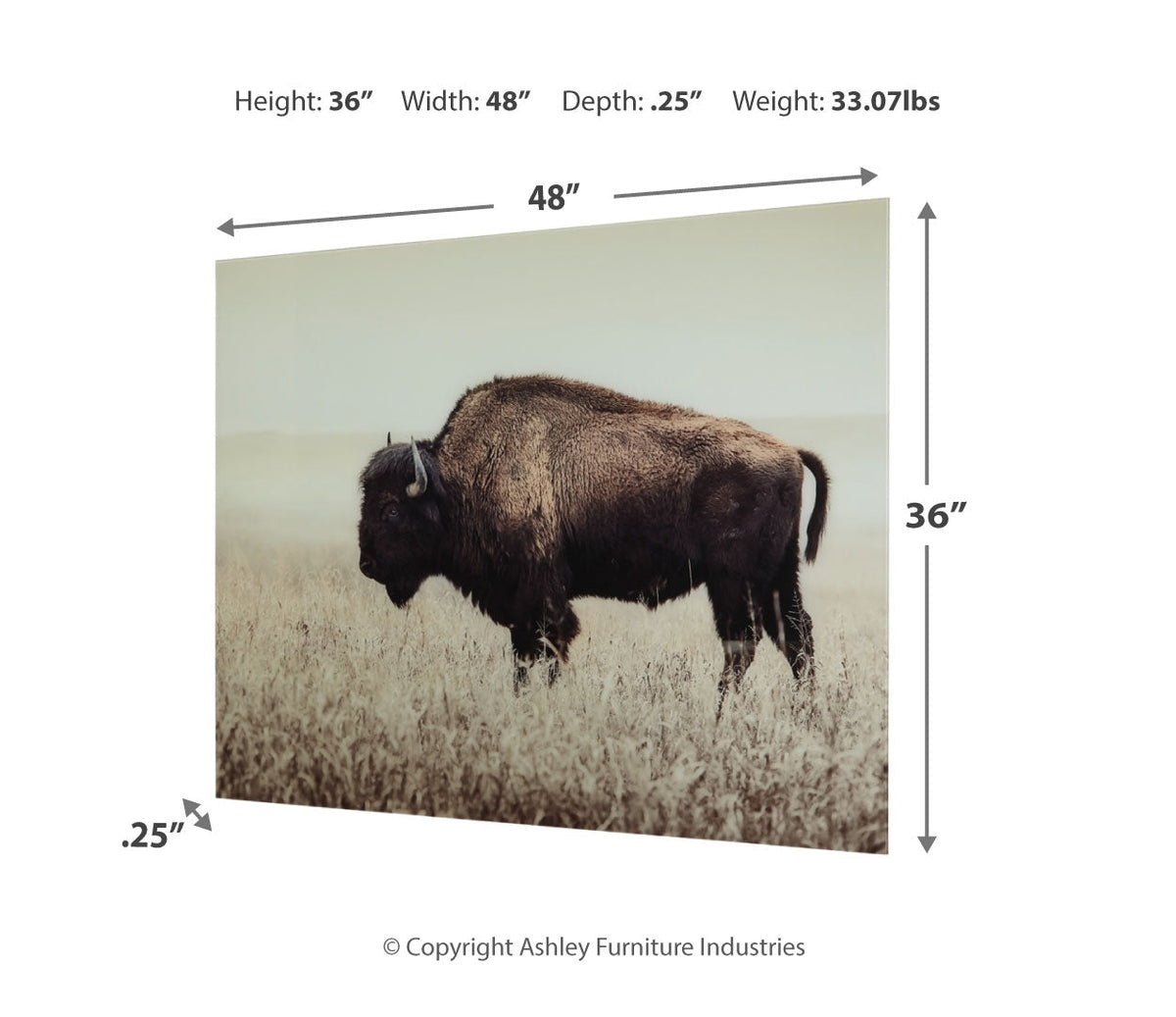 Brutus Wall Art
