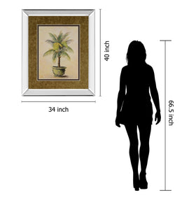 Mirrored Frame Promotional Line 34X40 34X40 Mirror Frame Print