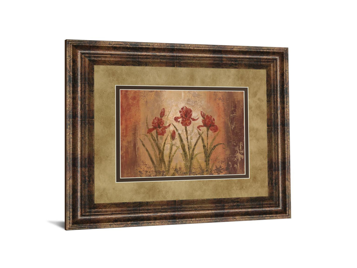 The Iris Style By Vivian Flasch 34X40 Framed Print