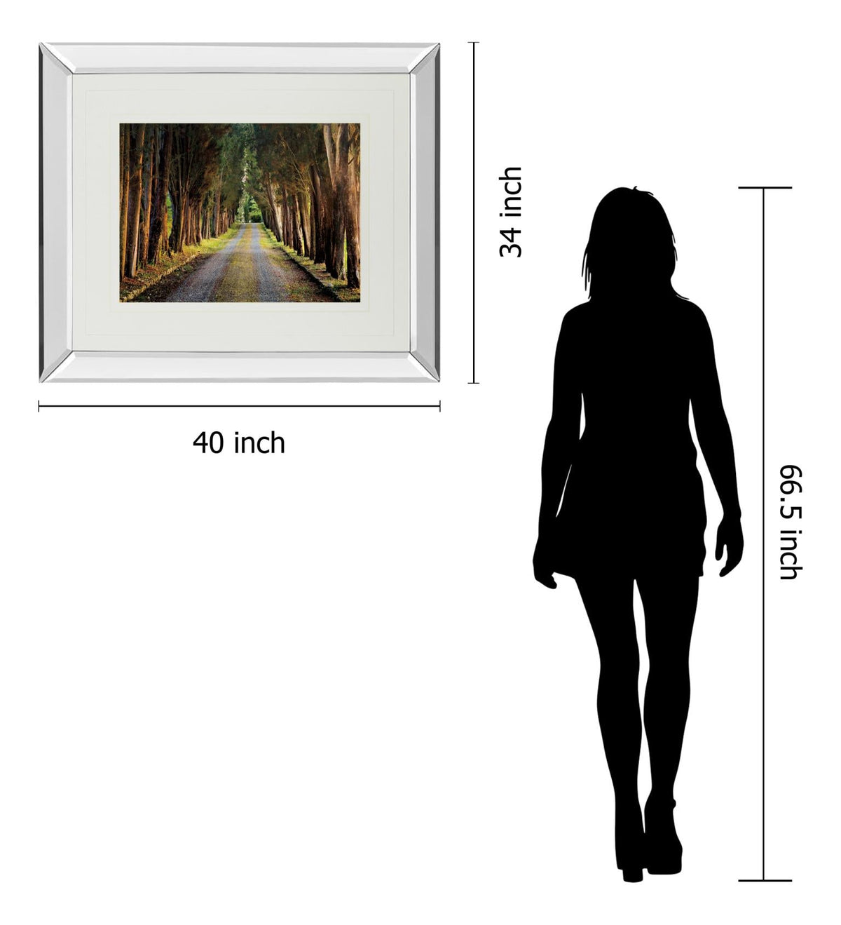 Mirrored Frame Tree Tunnel By Michael Tunnel ***Monl*** 34X40 Mirror Frame Print