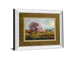 Mirrored Frame Spring Blossoms By Larry Winborg 34X40 Mirror Frame Print