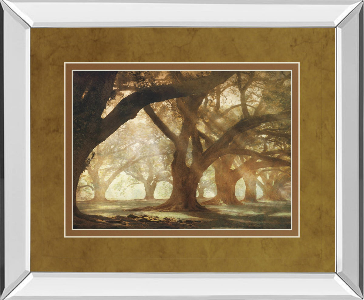 Mirrored Frame Oak Alley Morning Light By William Guion 34X40 Mirror Frame Print