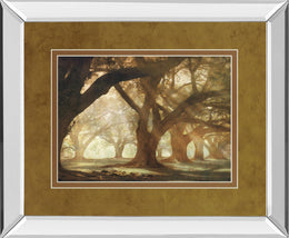 Mirrored Frame Oak Alley Morning Light By William Guion 34X40 Mirror Frame Print