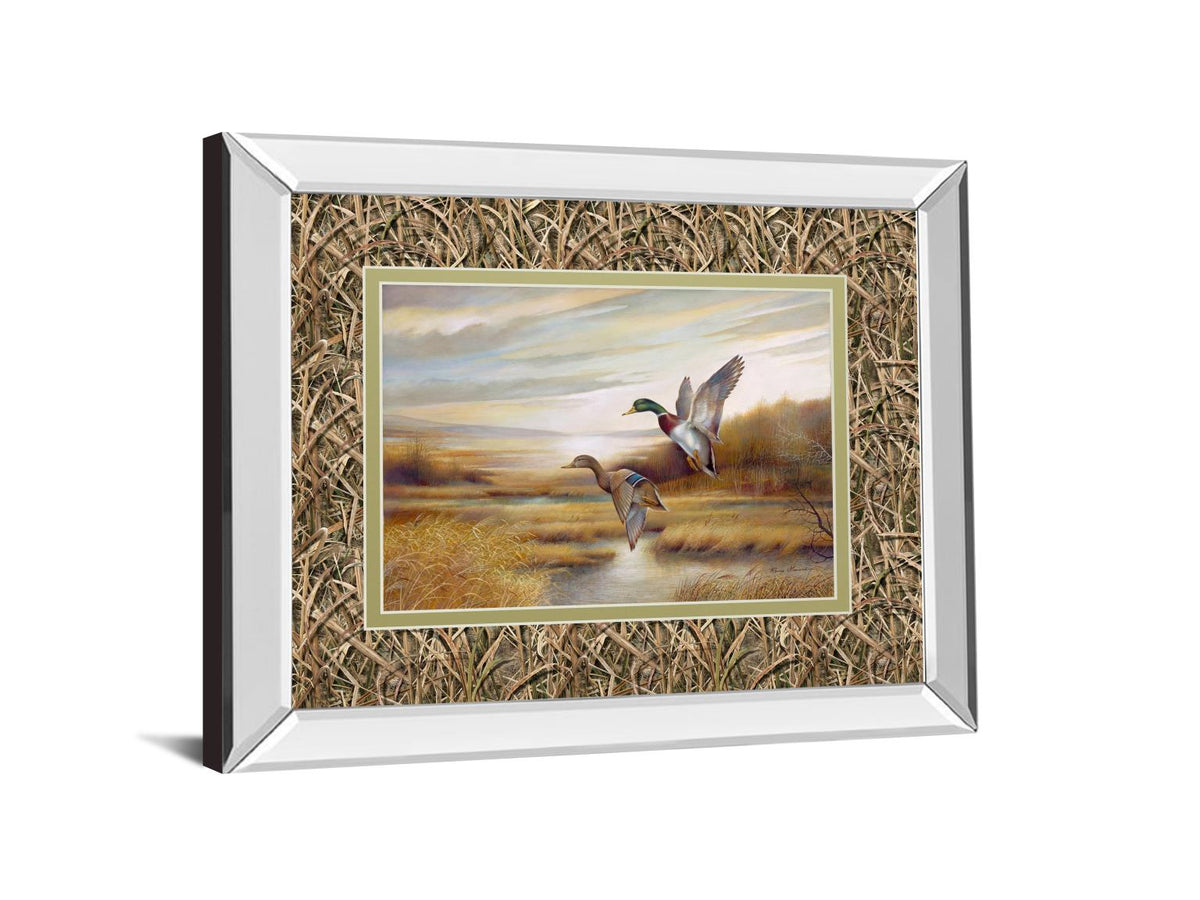 Mirrored Frame Mallards By Ruanne Manning ***Monl*** 34X40 Mirror Frame Print