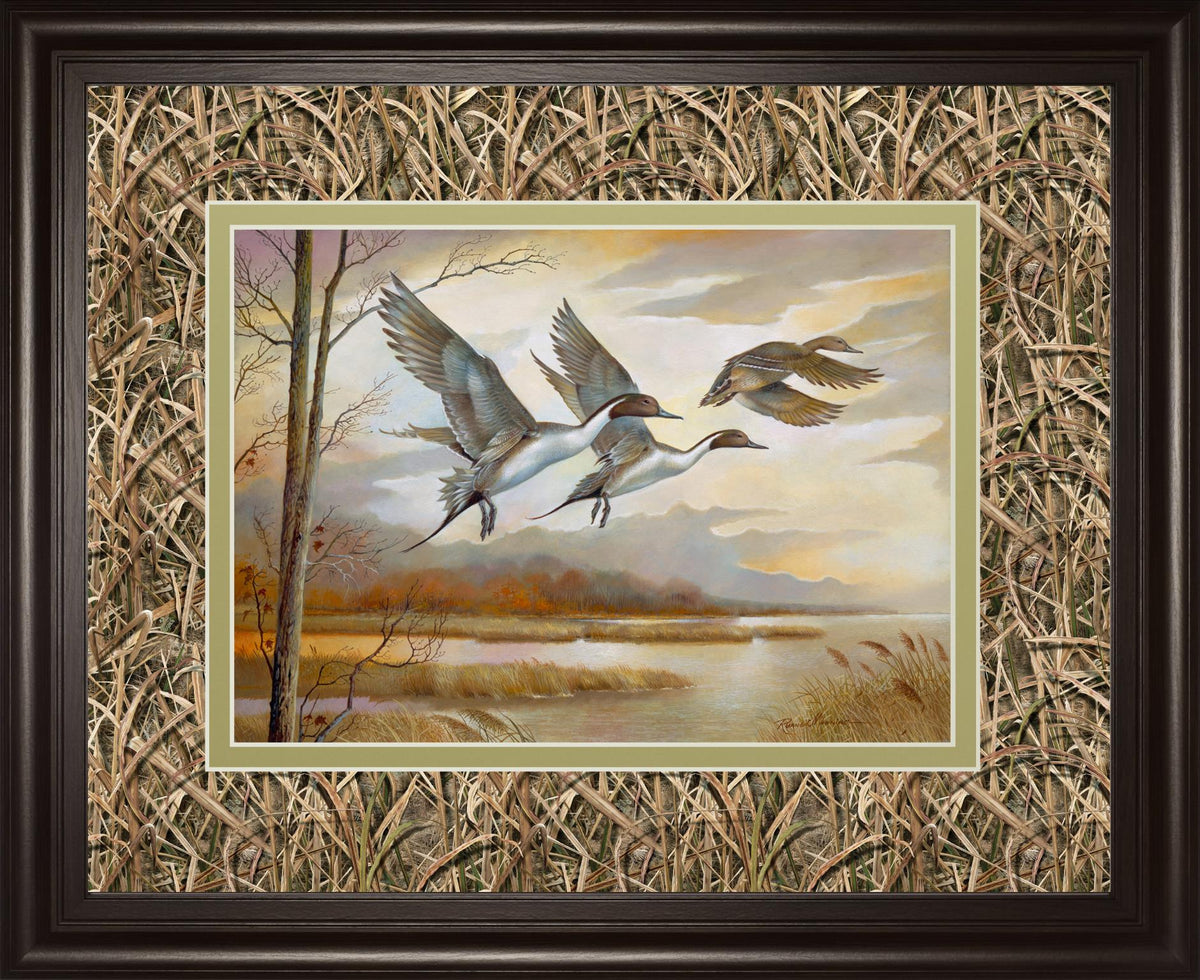 Pintails By Ruanne Manning ***Monl*** 34X40 Framed Print
