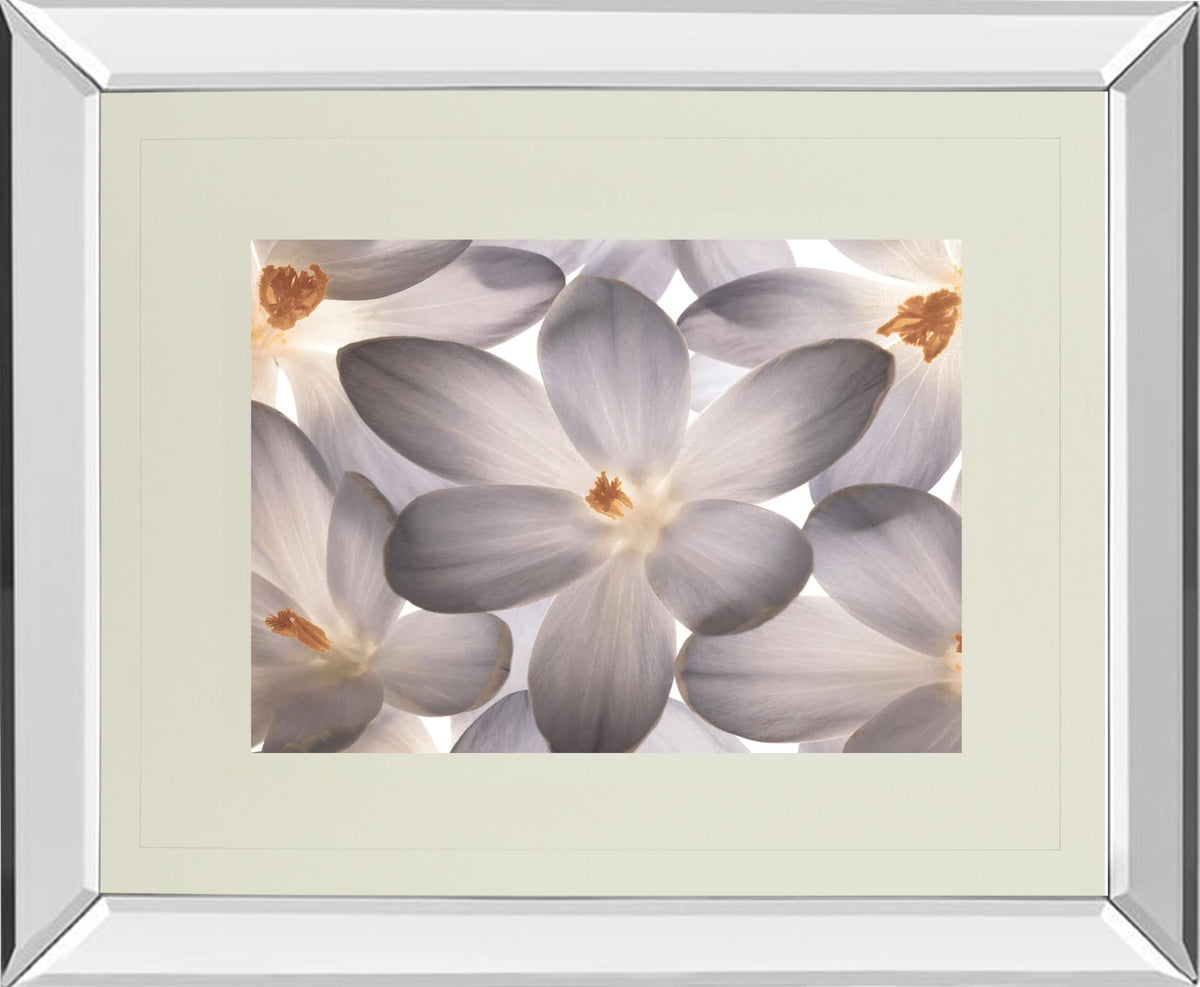 Mirrored Frame Petal Perfect By Assaf Frank 34X40 Mirror Frame Print