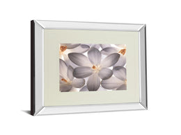 Mirrored Frame Petal Perfect By Assaf Frank 34X40 Mirror Frame Print