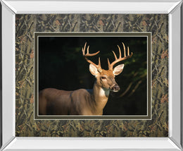 Mirrored Frame White Tail Buck By Tony Campbell 34X40 Mirror Frame Print