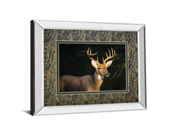 Mirrored Frame White Tail Buck By Tony Campbell 34X40 Mirror Frame Print