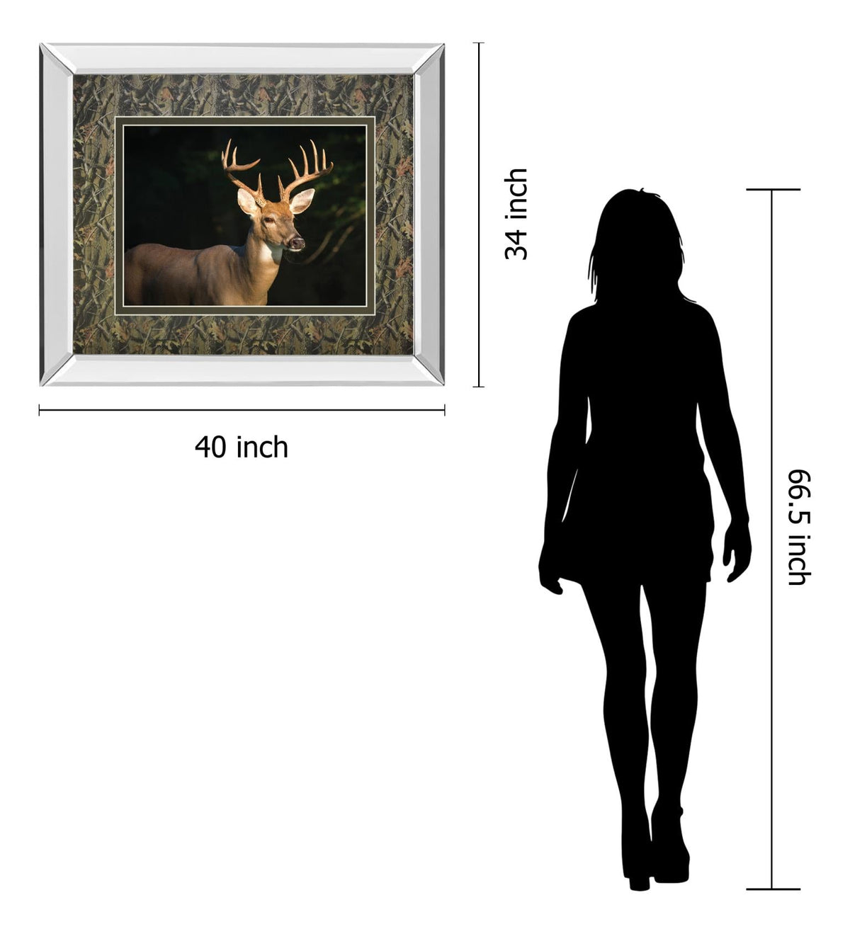 Mirrored Frame White Tail Buck By Tony Campbell 34X40 Mirror Frame Print