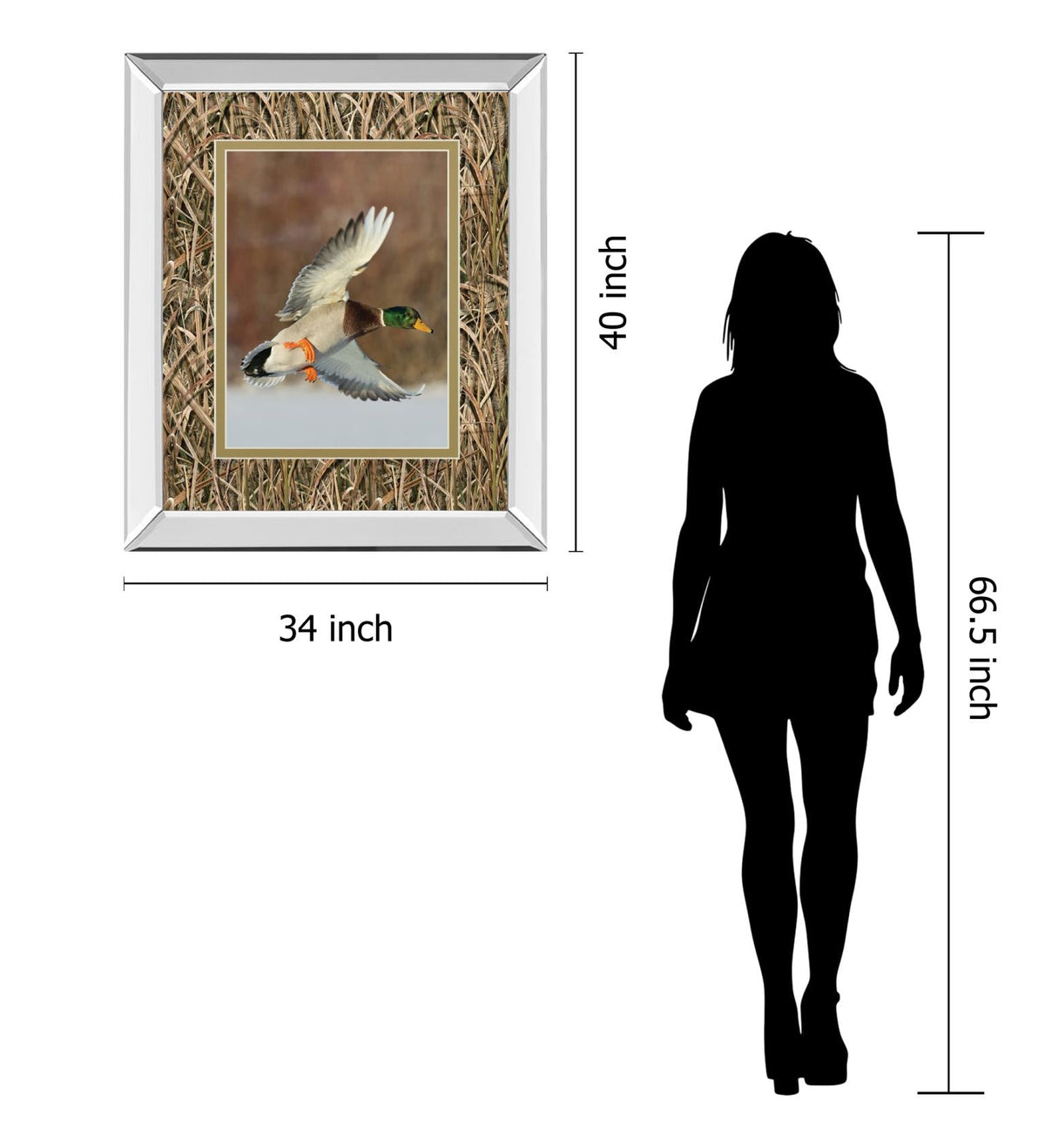 Mirrored Frame Flying Mallard By Steve Oehlenschlager ***Monl*** 34X40 Mirror Frame Print