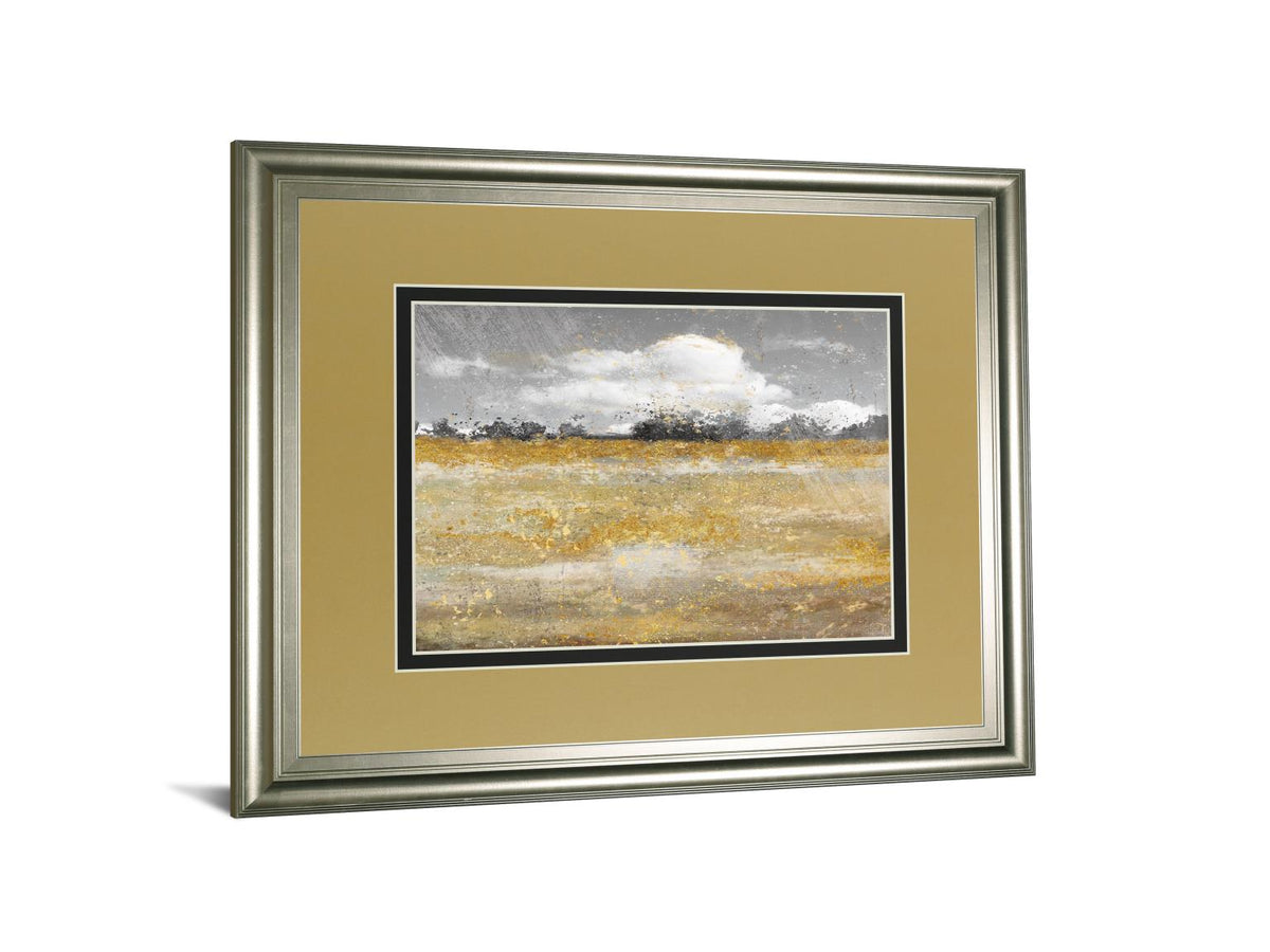 Meadow Shimmer Ii By Nan 34X40 Framed Print