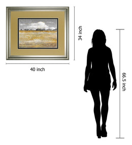 Meadow Shimmer Ii By Nan 34X40 Framed Print