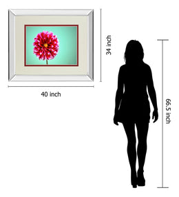 Mirrored Frame Zenia By Gail Peck 34X40 Mirror Frame Print