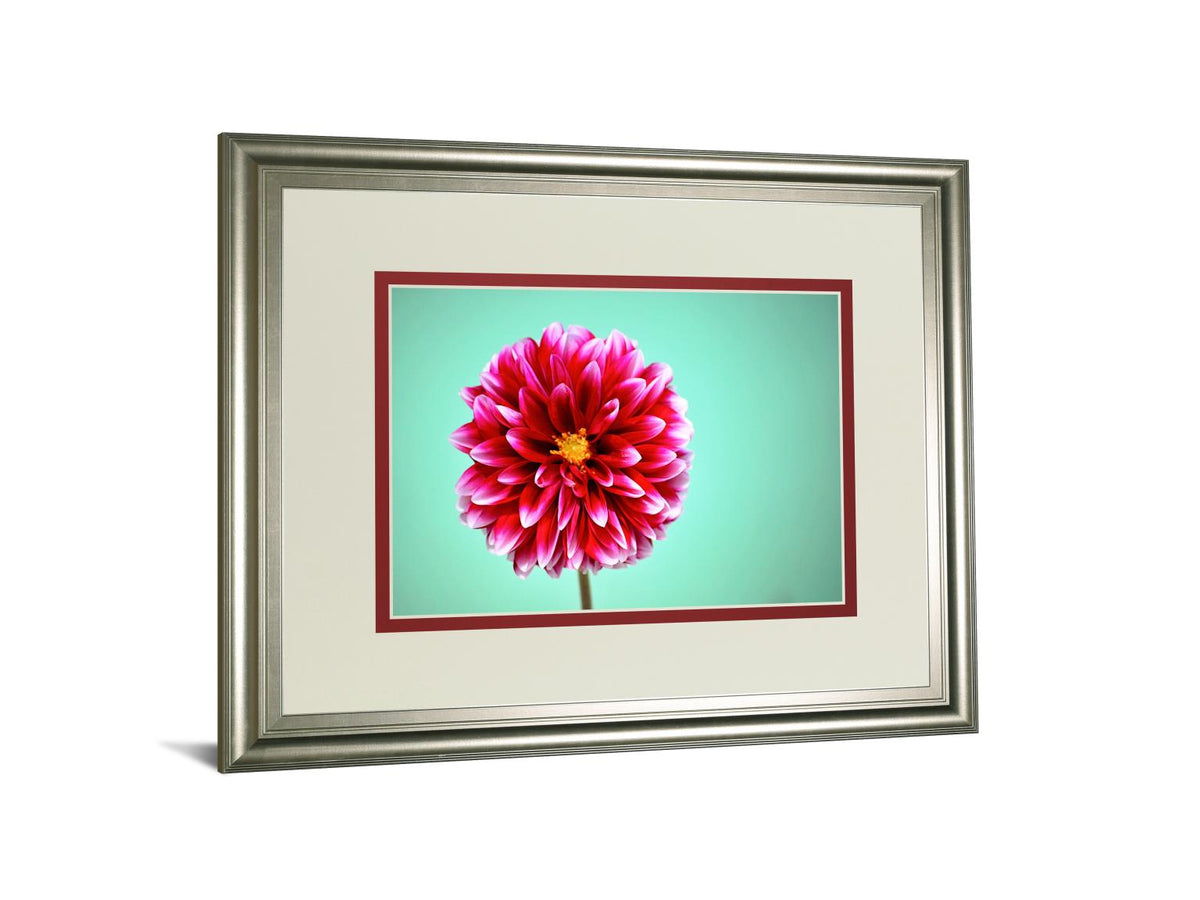 Zenia By Gail Peck 34X40 Framed Print