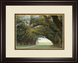 Alley Of The Oaks By William Guion  ***Monl*** 34X40 Framed Print