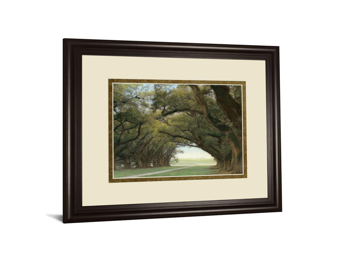 Alley Of The Oaks By William Guion  ***Monl*** 34X40 Framed Print